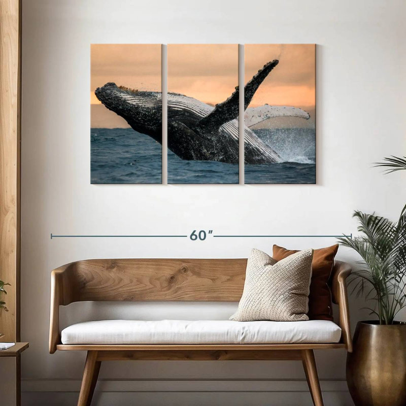 Brampt Humpback Whale Toss, 28" H x 45" W