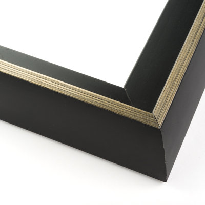 Emilson Solid Wood None Floater Picture Frame