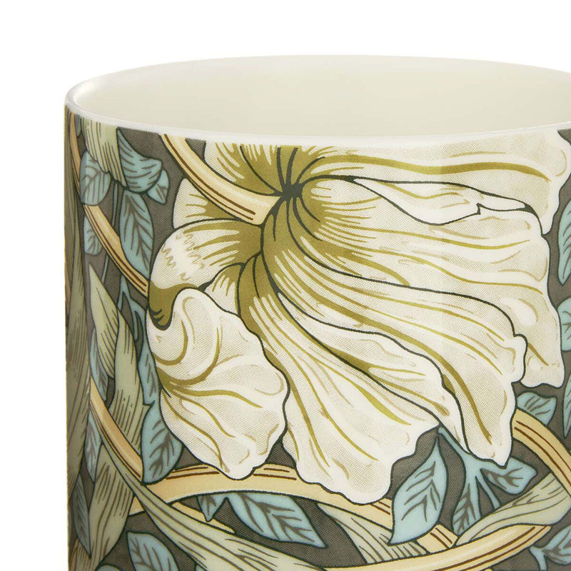 Tasse (Pimpernel)