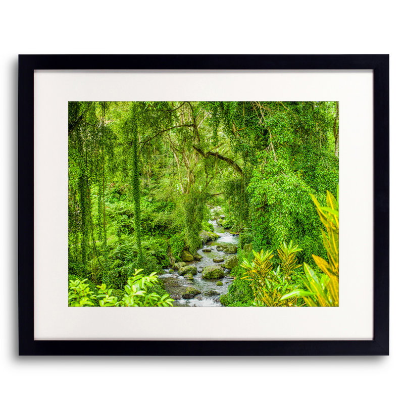 Jungle tropicale par Mark Paulda - photographie, Papier avec cadre noir, 16" H x 20" W