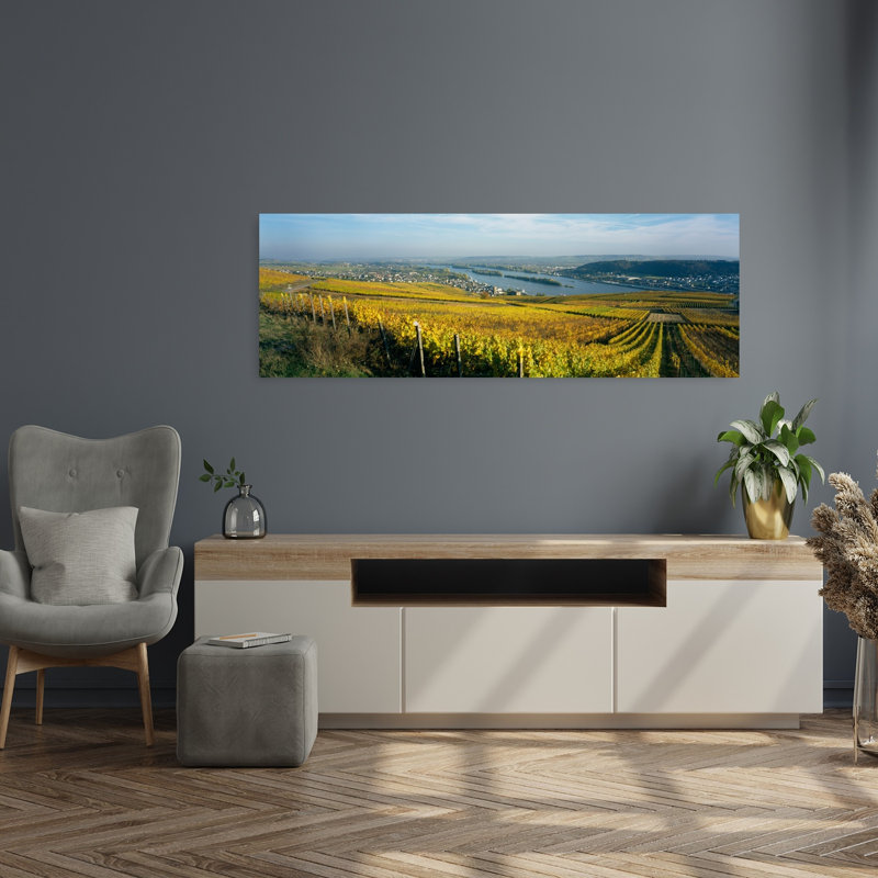 Vineyards Near A Town Rudesheim Rheingau Germany by Hendrik Holler - Wrapped Canvas Panoramic Print, 40.64 cm H x 121.92 cm W