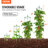 Plant Support