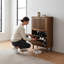 Armoire à chaussures de style Mid-Century moderne avec double tiroir rabattable, unité de rangement autoportante pour vestibule ou couloir-117973204