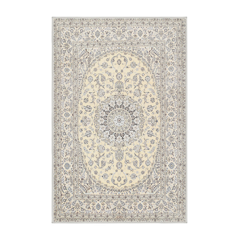Chalon Oriental Indoor Rug, Rectangle 5' x 7'