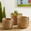 3 Piece Seagrass Basket Set