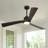 Karlena 60'' Modern Large Dimmable Ceiling Fan With Led Light And Remote (set Of 2)