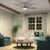 Airionna 56'' Ceiling Fan with LED Lights