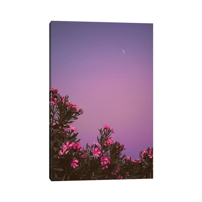 Hanging Gardens by Nirs Photography - Wrapped Canvas Print, 66.04 cm H x 45.72 cm W x 1.91 cm D