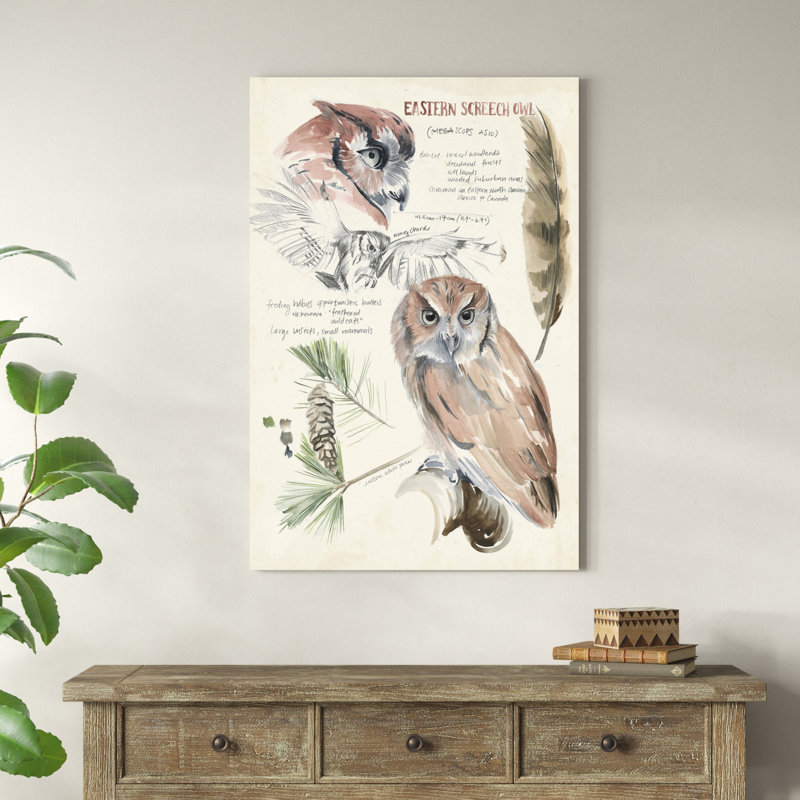 Revues de la faune I, H 48 po x l 32 po x P 1,25 po