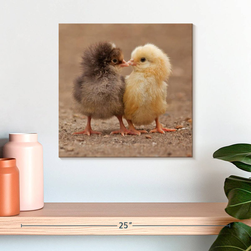 Crowle picorant des poussins, H 16 po x l 16 po