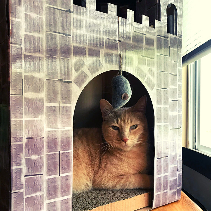 Corinna 20'' H Cat Tree