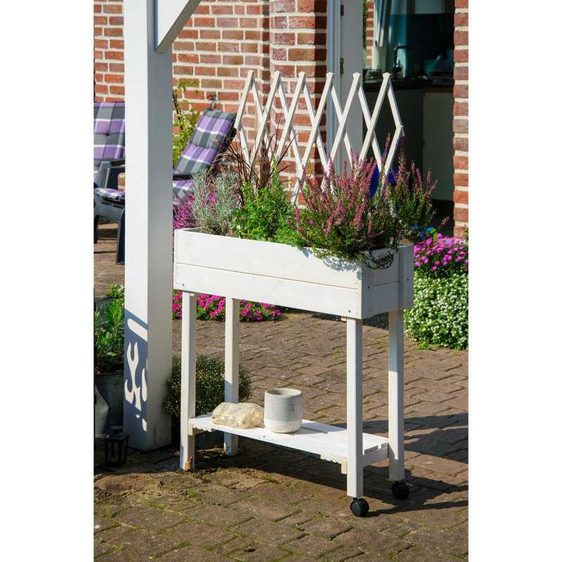 Elevated Planter with Trellis, White