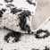Janeika Animal Print Machine Woven Polyester Area Rug in Black