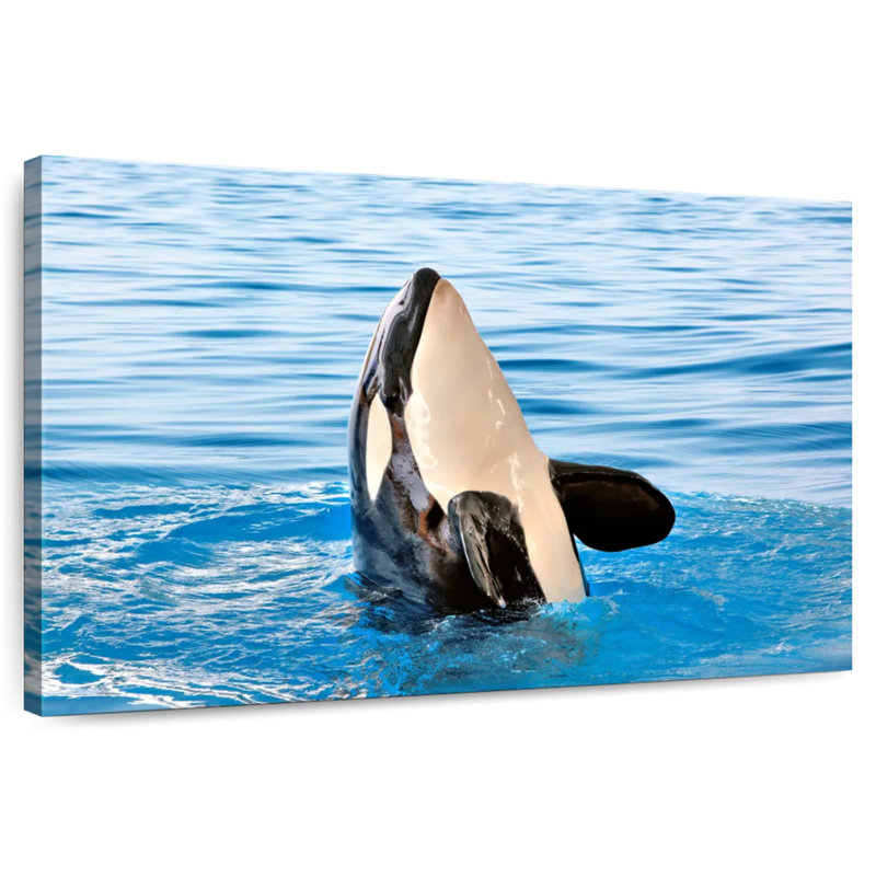 Brampt Orca Sighting, 16" H x 24" W