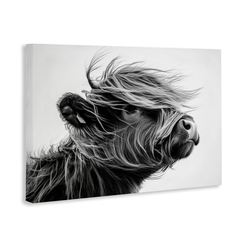 «Handsome Highland Portrait Canvas» par Tina LeCour, H 24 po x l 36 po