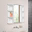 Arvy Surface Framed Mirrored Bathroom Cabinets with Mirror and 9