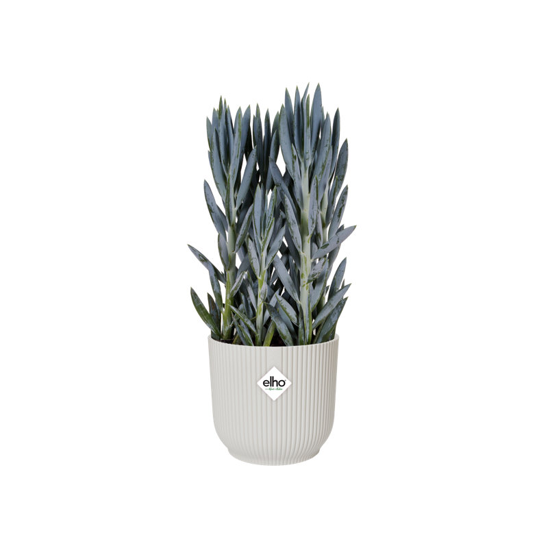 Pot Planter, 32.4cm H x 34.9cm W x 34.9cm D, Silky White