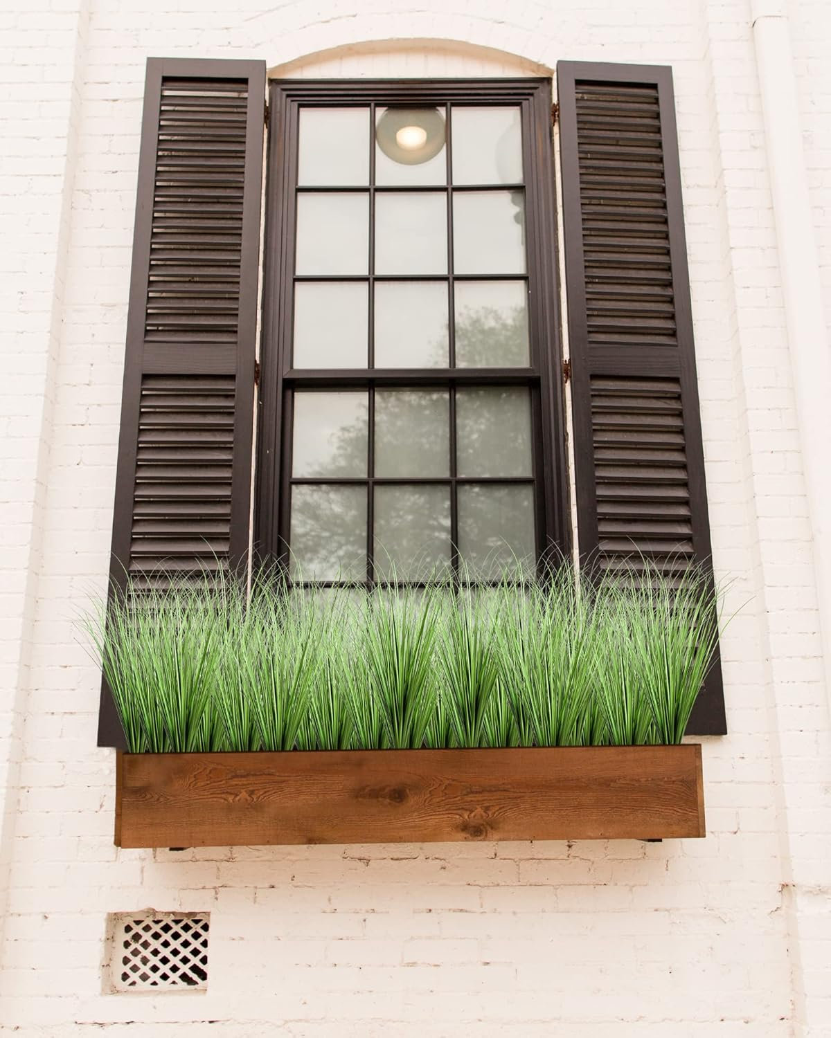 Onion Grass Stems