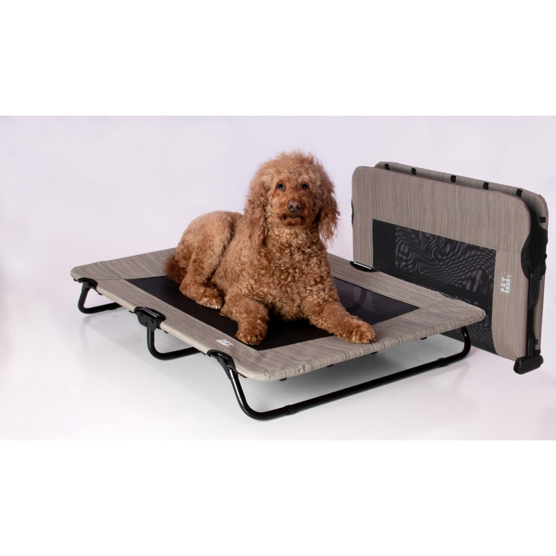 Lit de camp léger et robuste, Gris port, H 7,50 po x l 29,00 po x P 40,00 po