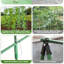 Trellis 1.2 H x 1.6 W