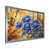 Silver Single Picture Framed