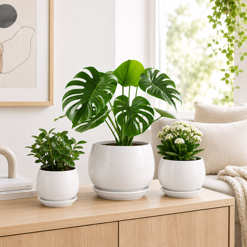 Ensemble de 3 pots à plantes en céramique avec soucoupes et drainage