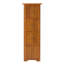 Armoire décorative, armoire de rangement d'angle avec tablettes