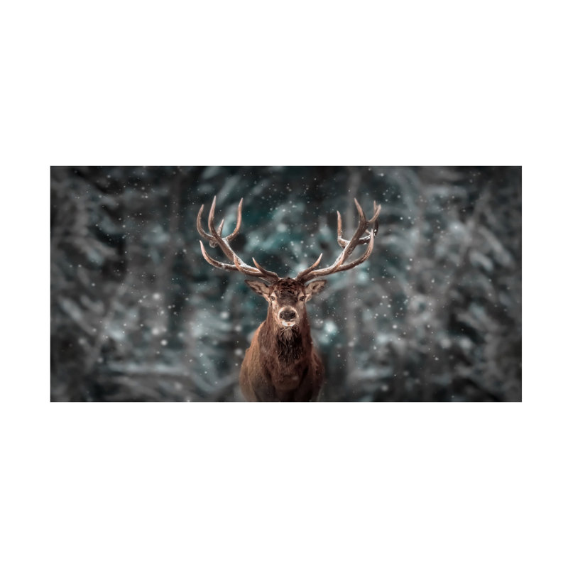 Art sur toile Kim Deer King, H 10 po x l 19 po x P 2 po