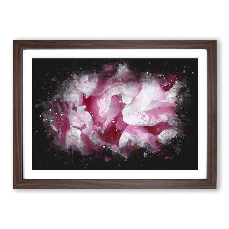Beautiful Pink Carnation Petals - Single Picture Frame Print on MDF, Walnut Framed, 62cm H x 87cm W x 2cm D
