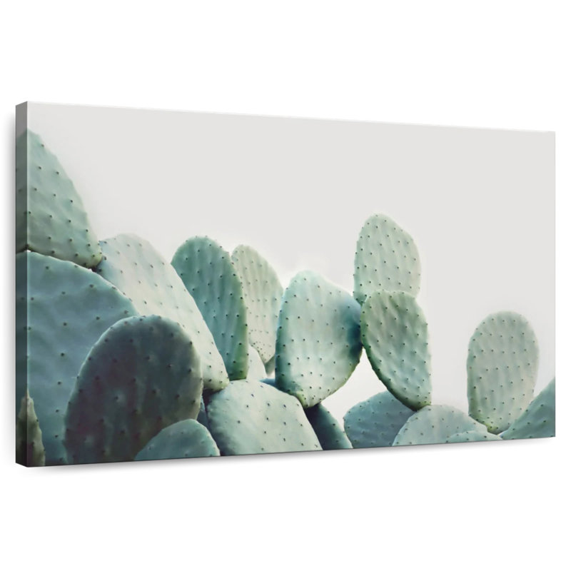 Cactus Harnek vert pastel, H 30 po x l 45 po