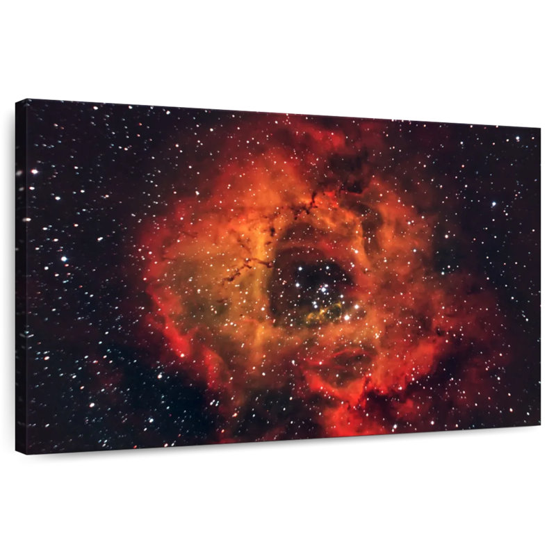 Oberle The Rose In The Sky, 20" H x 30" W