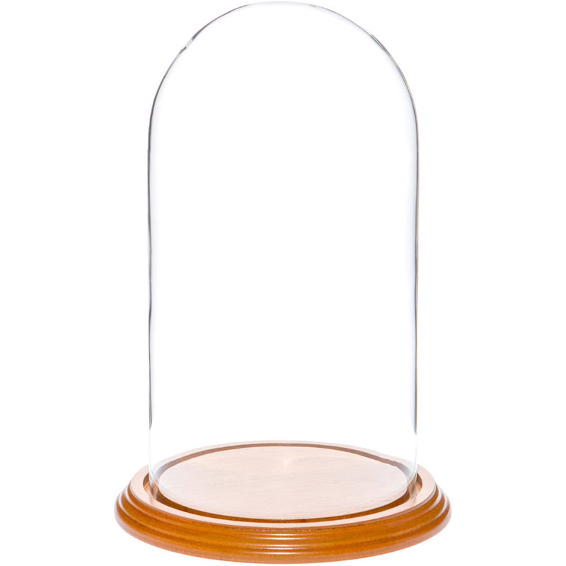 Cloche à dôme en verre 5,5 "x 10" Jenett, Base en placage de chêne