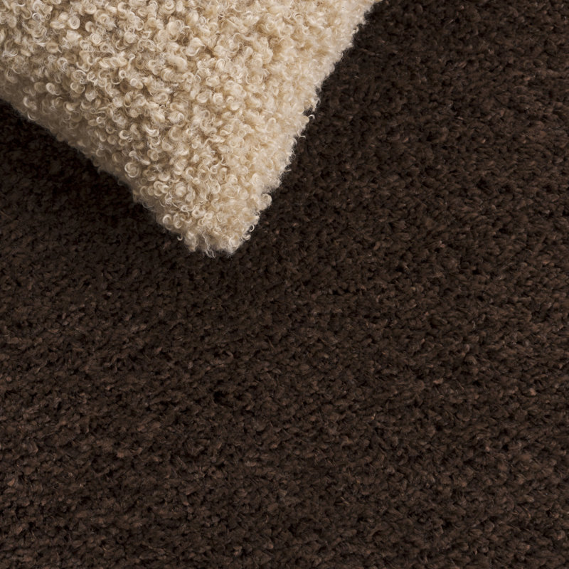 Angeliya Shag Performance Solid Color Rug, Rectangle 5'3" x 7'6", Brown