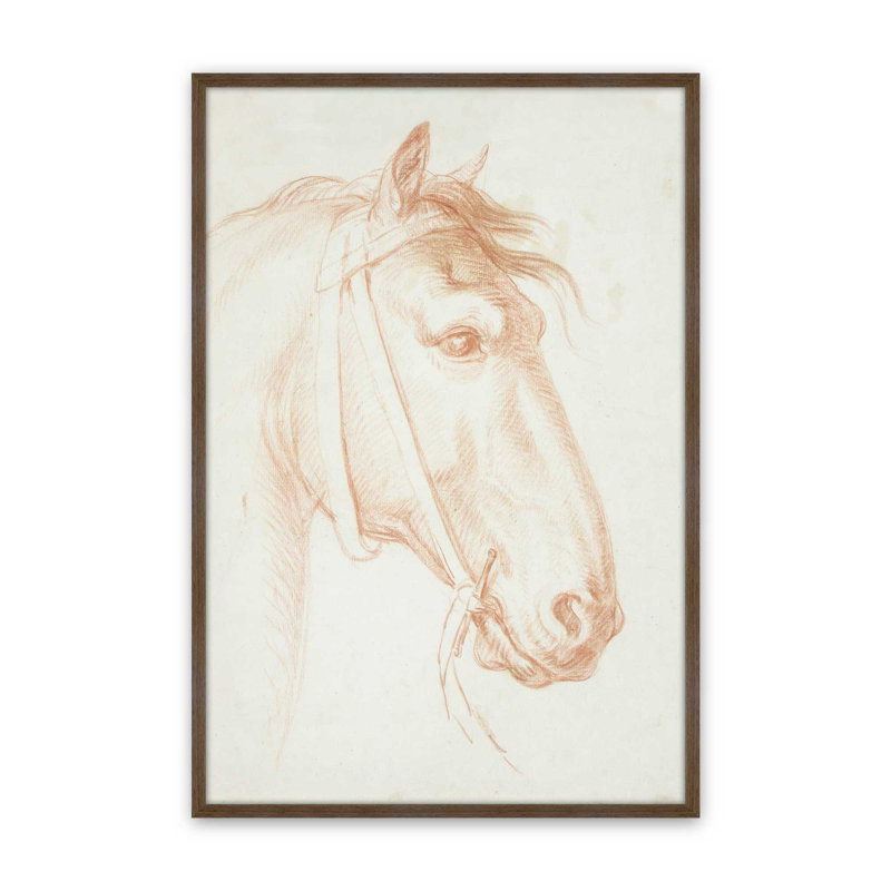 «Horses Head» par Alexander Laureus, reproduction d'art sur toile, H 32 po x l 24 po, Brun