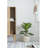 21.7'' Faux Fiddle Leaf Fig Tree in Cement Pot