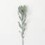 29" Subtle Protea Spray-1188389747-1188389756