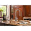 Contemporary Plp Pulldown Faucet - Lever Sprayer