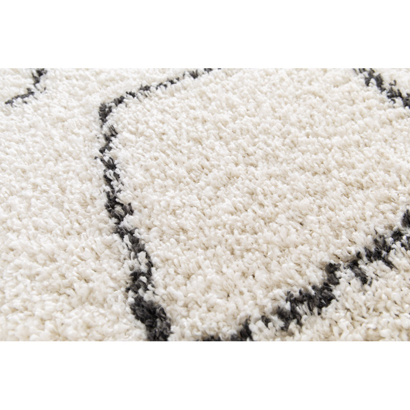 Orrie Shag Area Rug, Rectangle 80 x 150cm