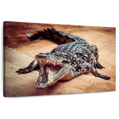 Brampt Crocodile
