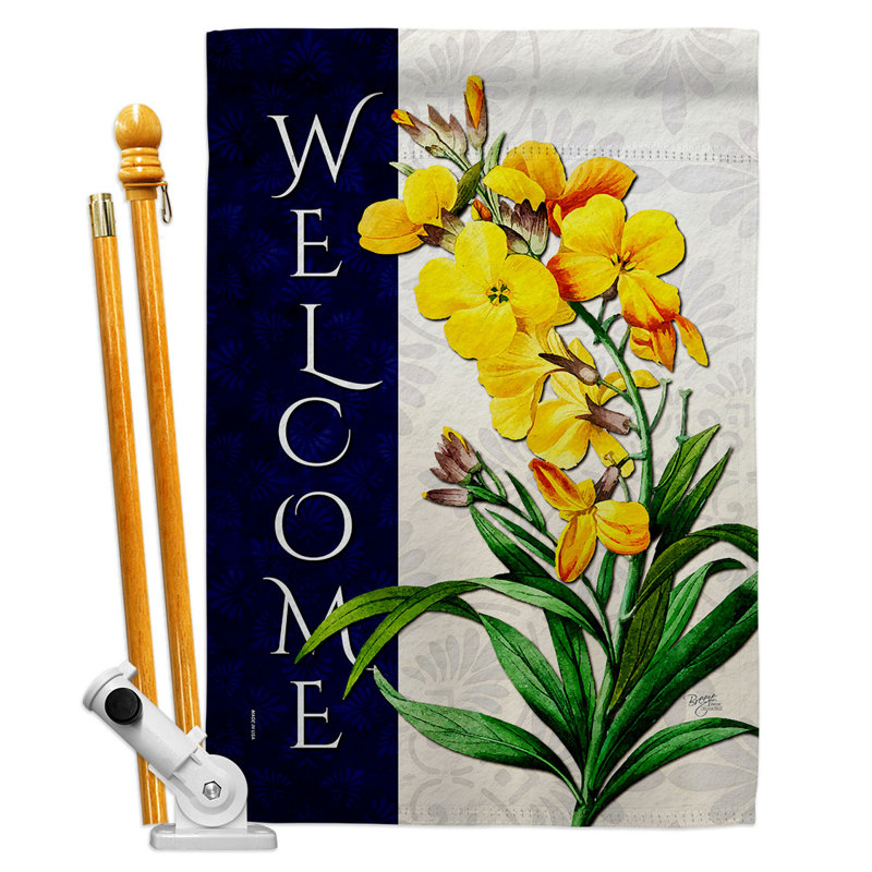 Ensemble de 2 drapeaux en polyester 3 pi 4 po x 2 pi 4 pi