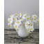 Phalaenopsis Orchidée Blanche 23 po-1877715662-1877715663