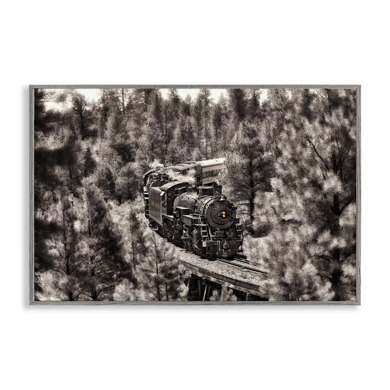 Train on Curving Path Framed Giclee Art by David Drost, Farmhouse Gray Framed Giclee, 16" H x 24" W