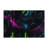 Dynamic Glow Indoor And Outdoor Area Rug-432745880