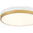 Pliam LED Flush Mount-1798571129