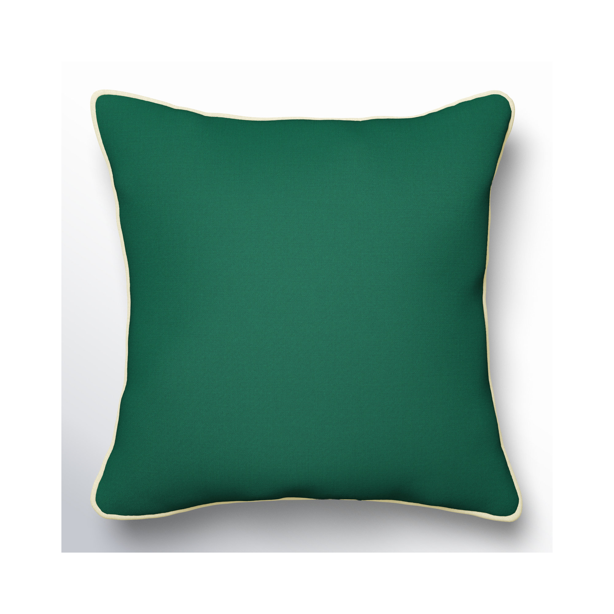Estrada Indoor/Outdoor Throw Pillow, Green, 18" x 18"