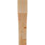 Attelle de genou Westlake-29310041-31230611-31230081