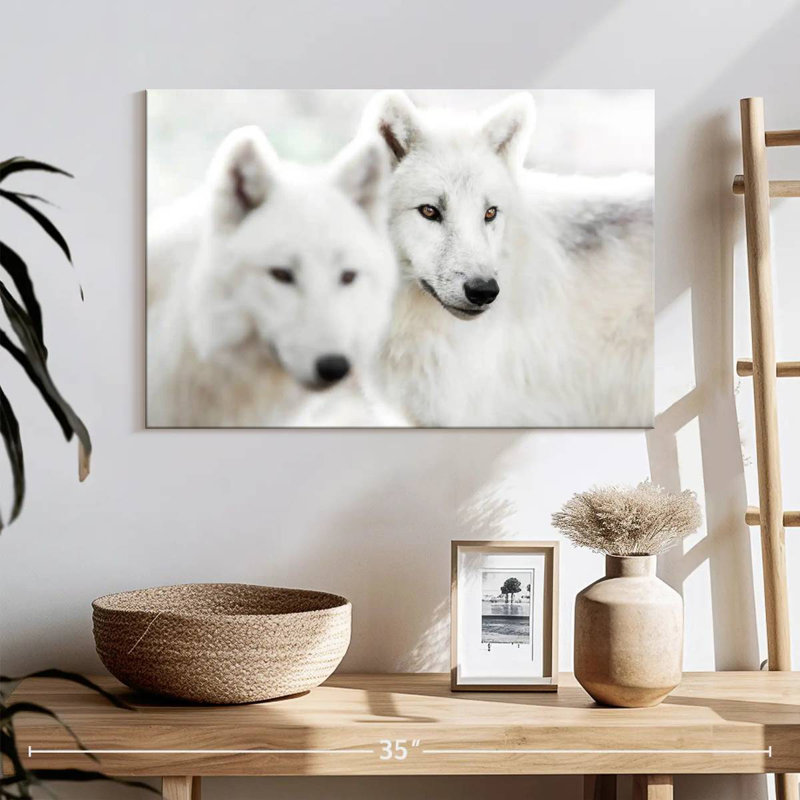 Brampt White Wolf II, 16" H x 24" W