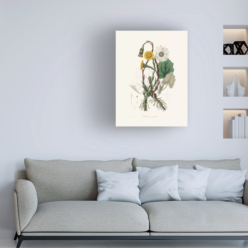 Art botanique sur toile, John Stephenson et Coltsfoot, H 32 po x l 24 po