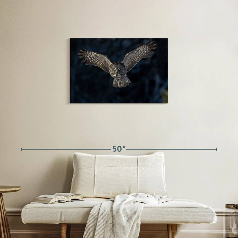 Flying Gray Owl, 20" H x 30" W