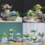 Arrangement floral Capps Hydrangea en pot